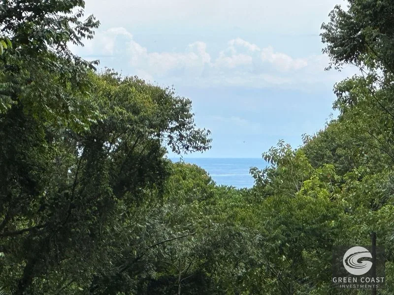 Tranquil Oasis: 8.8 Acres of Pristine Paradise in Dominicalito, Costa Rica — view 5, Dominical, Costa Rica