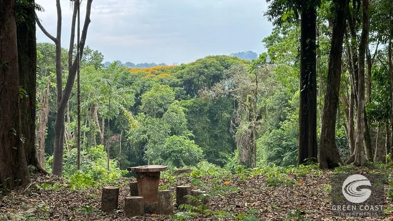 Tranquil Oasis: 8.8 Acres of Pristine Paradise in Dominicalito, Costa Rica — view 7, Dominical, Costa Rica