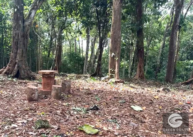 Tranquil Oasis: 8.8 Acres of Pristine Paradise in Dominicalito, Costa Rica — view 8, Dominical, Costa Rica