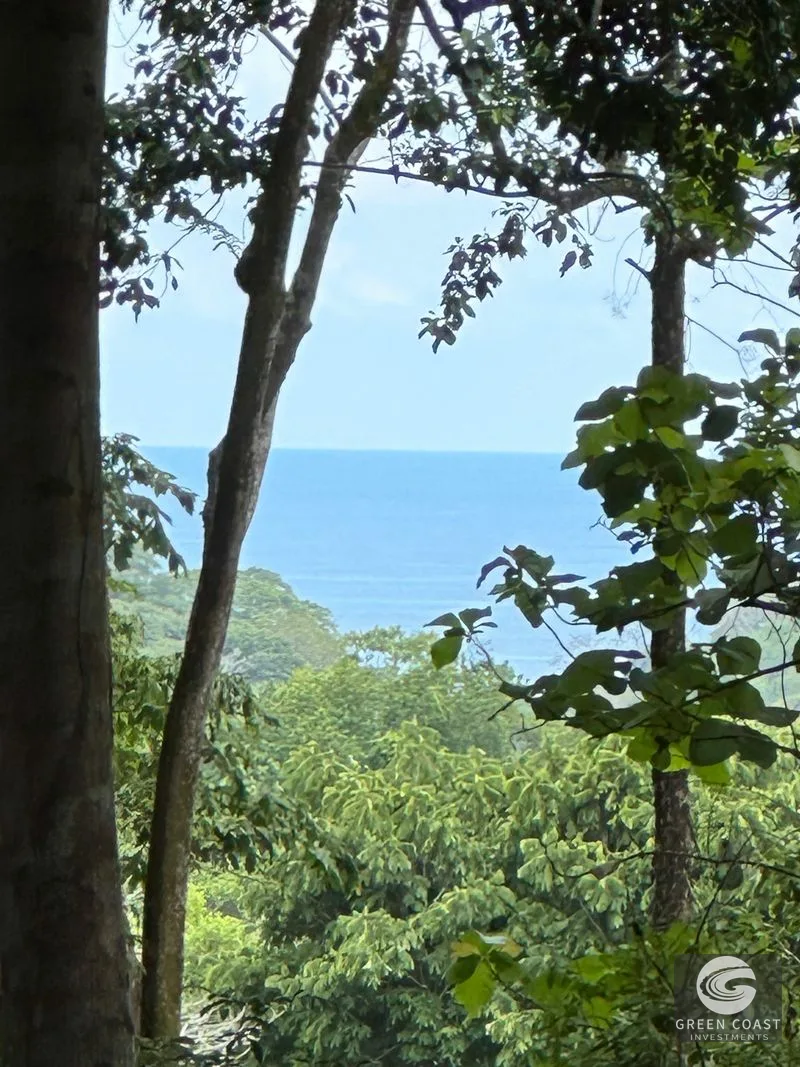Tranquil Oasis: 8.8 Acres of Pristine Paradise in Dominicalito, Costa Rica — view 9, Dominical, Costa Rica