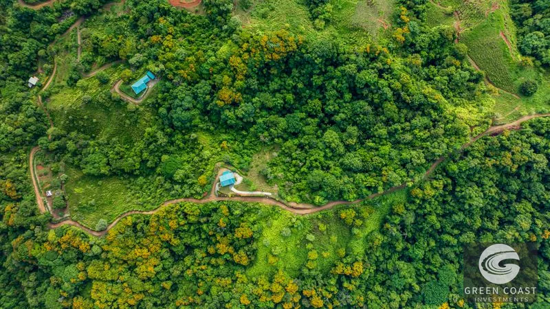 Mountain Farm & Homestead Opportunity in San Josecito, Costa Rica — view 3, Uvita, Uvita, Costa Rica