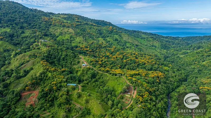 Mountain Farm & Homestead Opportunity in San Josecito, Costa Rica — view 4, Uvita, Uvita, Costa Rica