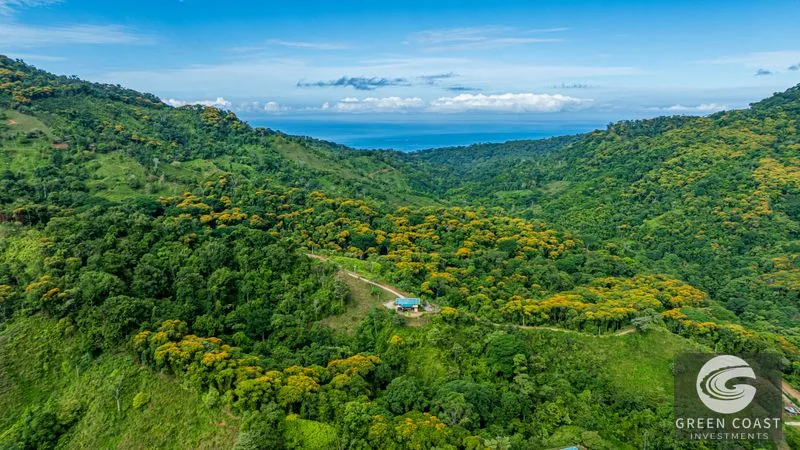 Mountain Farm & Homestead Opportunity in San Josecito, Costa Rica — view 8, Uvita, Uvita, Costa Rica