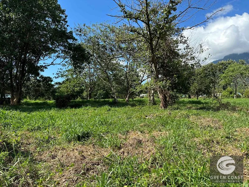 Over 3 Acres, Mountain View Lot in the Heart of Ojochal, Ready for Development! — view 1, Ojochal, Osa, Costa Rica