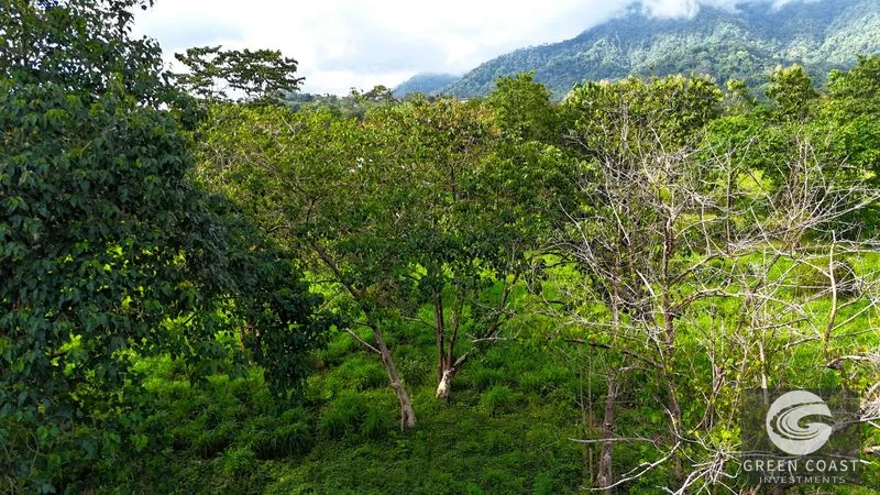 Over 3 Acres, Mountain View Lot in the Heart of Ojochal, Ready for Development! — view 10, Ojochal, Osa, Costa Rica