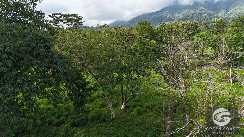 Over 3 Acres, Mountain View Lot in the Heart of Ojochal, Ready for Development! — view 11, Ojochal, Osa, Costa Rica