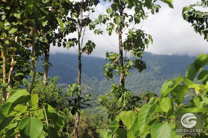 Over 3 Acres, Mountain View Lot in the Heart of Ojochal, Ready for Development! — view 12, Ojochal, Osa, Costa Rica