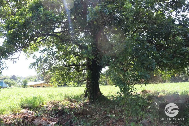 Over 3 Acres, Mountain View Lot in the Heart of Ojochal, Ready for Development! — view 13, Ojochal, Osa, Costa Rica