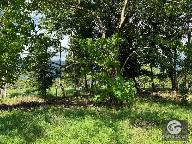 Over 3 Acres, Mountain View Lot in the Heart of Ojochal, Ready for Development! — view 20, Ojochal, Osa, Costa Rica
