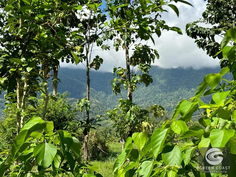 Over 3 Acres, Mountain View Lot in the Heart of Ojochal, Ready for Development! — view 21, Ojochal, Osa, Costa Rica