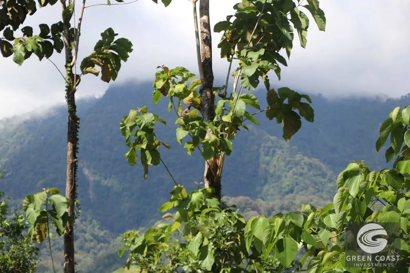 Over 3 Acres, Mountain View Lot in the Heart of Ojochal, Ready for Development! — view 25, Ojochal, Osa, Costa Rica