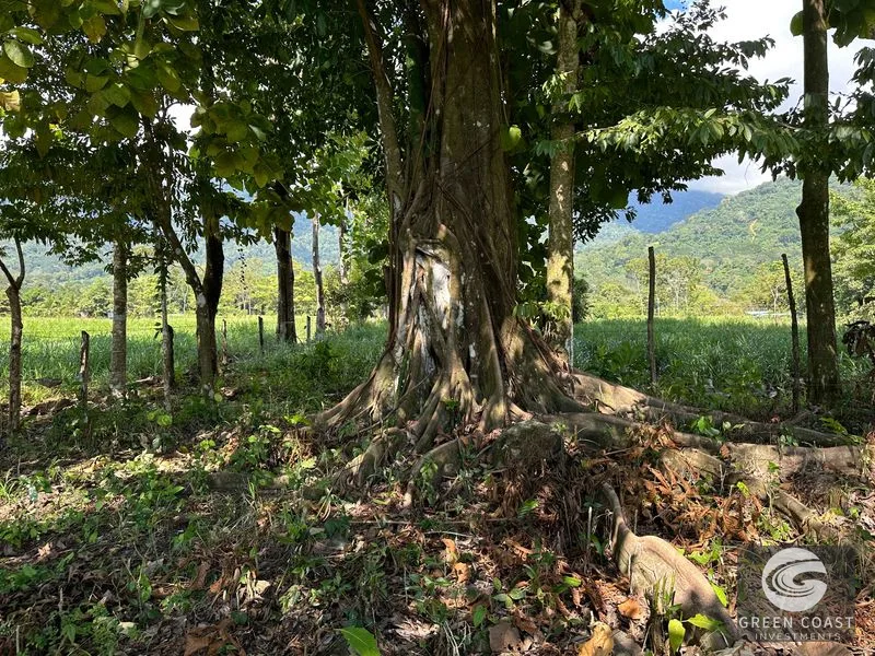 Over 3 Acres, Mountain View Lot in the Heart of Ojochal, Ready for Development! — view 34, Ojochal, Osa, Costa Rica