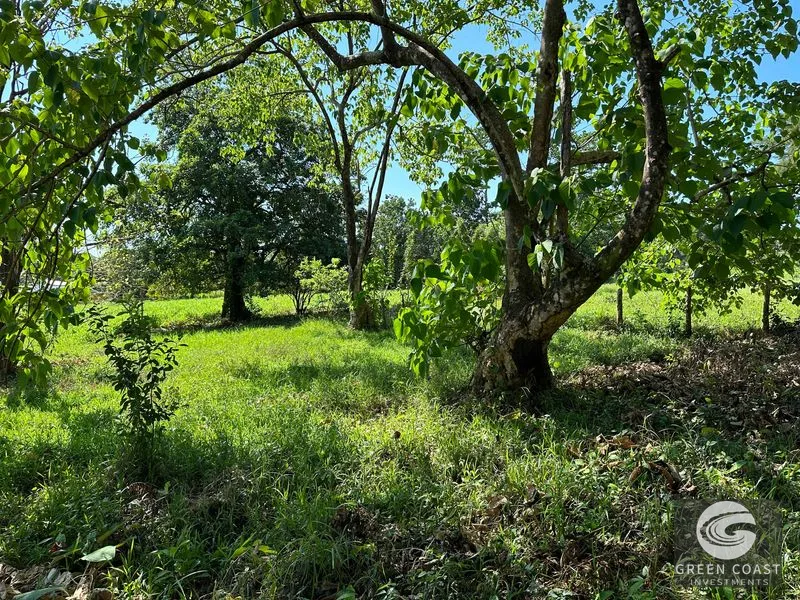 Over 3 Acres, Mountain View Lot in the Heart of Ojochal, Ready for Development! — view 36, Ojochal, Osa, Costa Rica
