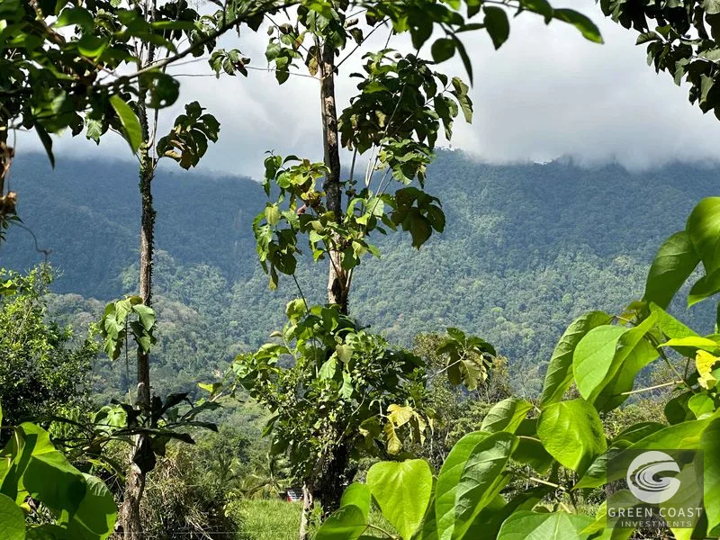 Over 3 Acres, Mountain View Lot in the Heart of Ojochal, Ready for Development! — view 45, Ojochal, Osa, Costa Rica