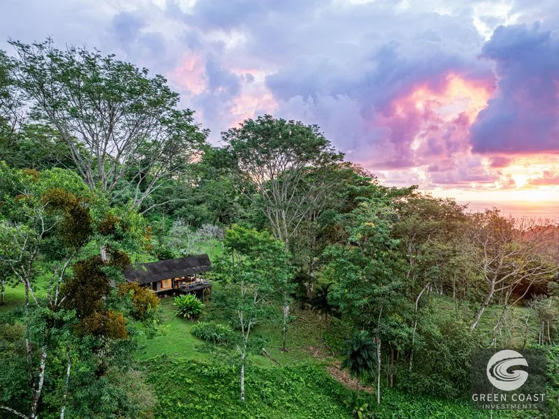 Embrace Harmony in Nature on 12 Acres of Mountain and Ocean view Serenity — view 31, Uvita, Osa, Costa Rica
