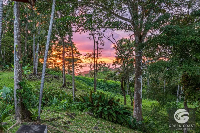 Embrace Harmony in Nature on 12 Acres of Mountain and Ocean view Serenity — view 41, Uvita, Osa, Costa Rica