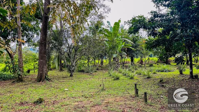 House for Sale in Ojochal, Costa Rica – Traditional Charm on 2.75 Acres — view 47, Ojochal, Costa Rica