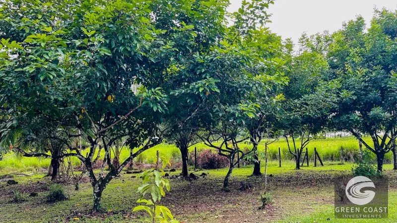 House for Sale in Ojochal, Costa Rica – Traditional Charm on 2.75 Acres — view 48, Ojochal, Costa Rica