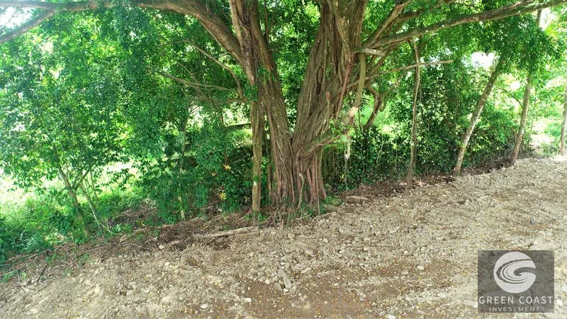 5000 Square Meter Lot, Residencial or Commercial, 400 Meters From the Beach. — view 12, Dominical, Costa Rica