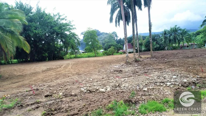 5000 Square Meter Lot, Residencial or Commercial, 400 Meters From the Beach. — view 25, Dominical, Costa Rica