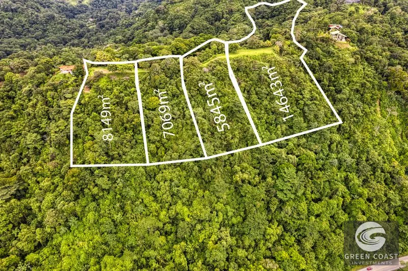 Coronado Estates Development Farm — view 4, Coronado, Osa, Costa Rica