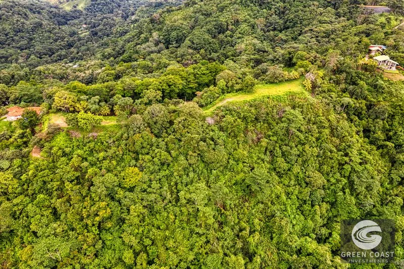 Coronado Estates Development Farm — view 17, Coronado, Osa, Costa Rica