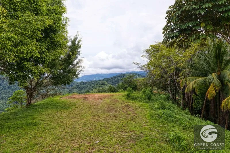 Coronado Estates Development Farm — view 27, Coronado, Osa, Costa Rica