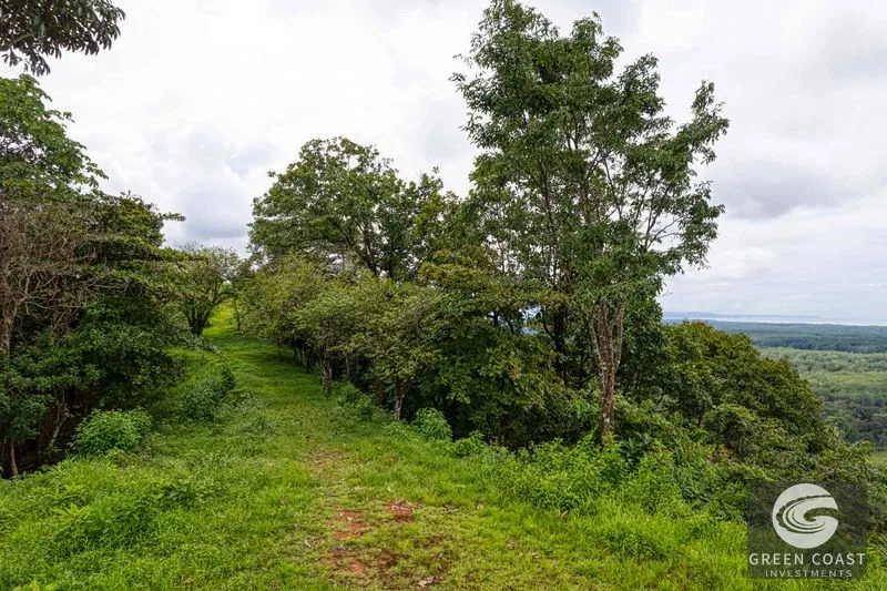 Coronado Estates Development Farm — view 28, Coronado, Osa, Costa Rica