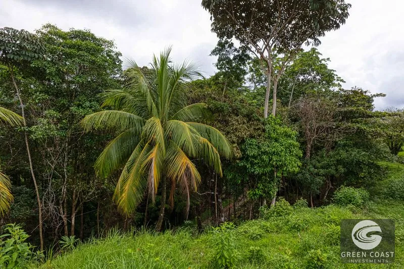Coronado Estates Development Farm — view 29, Coronado, Osa, Costa Rica