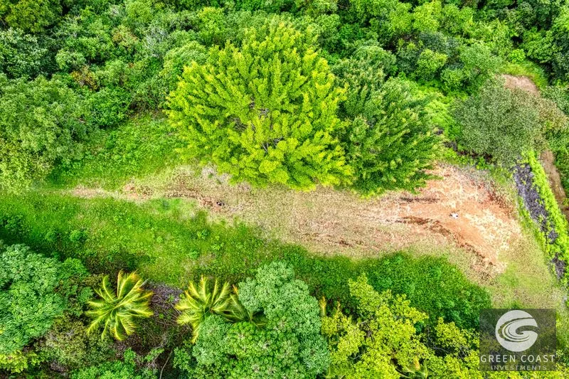 Coronado Estates Development Farm — view 30, Coronado, Osa, Costa Rica