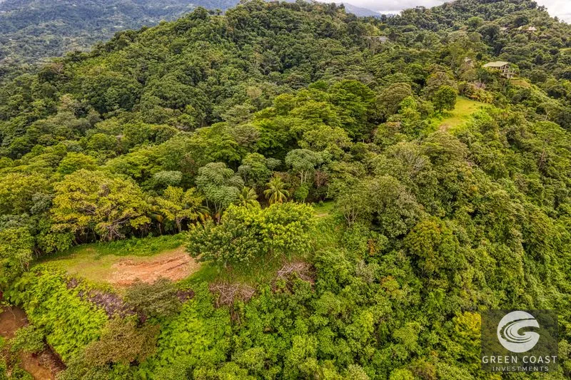 Coronado Estates Development Farm — view 33, Coronado, Osa, Costa Rica
