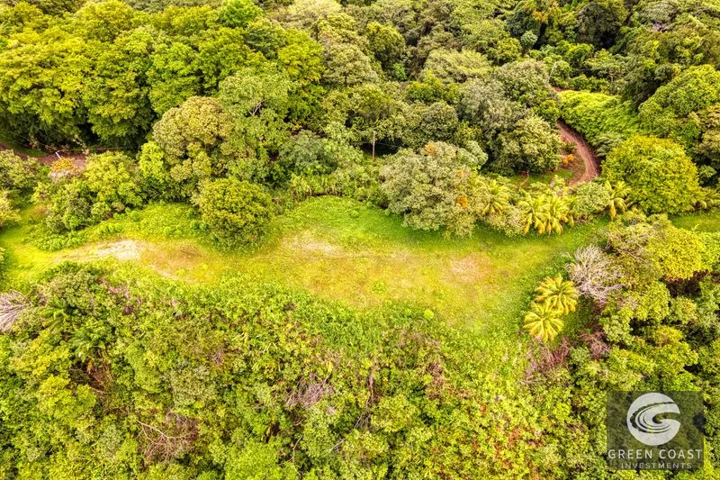 Coronado Estates Development Farm — view 39, Coronado, Osa, Costa Rica