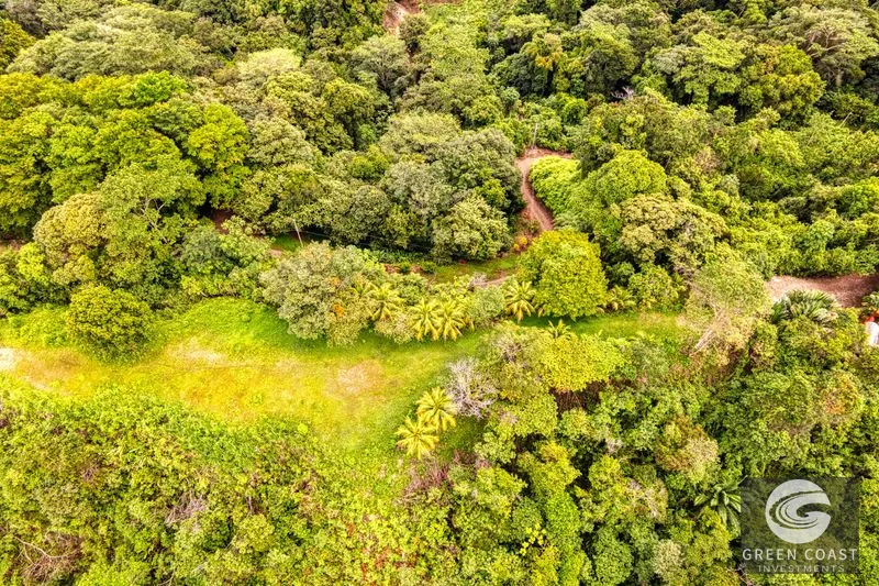Coronado Estates Development Farm — view 40, Coronado, Osa, Costa Rica