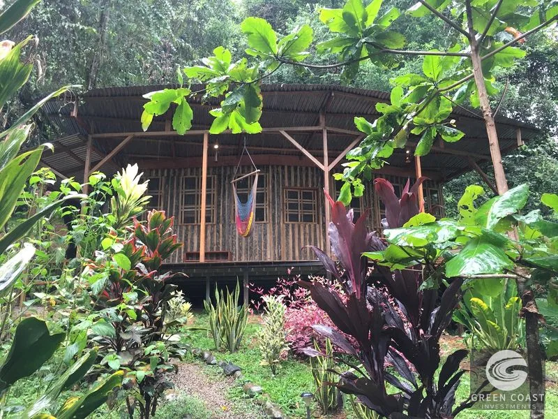 CASCADA ELYSIANA – ECO-RETREAT WITH HUGE WATERFALL — view 4, Tinamastes, Tinamastes, Costa Rica
