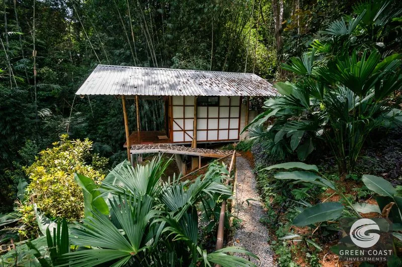 CASCADA ELYSIANA – ECO-RETREAT WITH HUGE WATERFALL — view 17, Tinamastes, Tinamastes, Costa Rica
