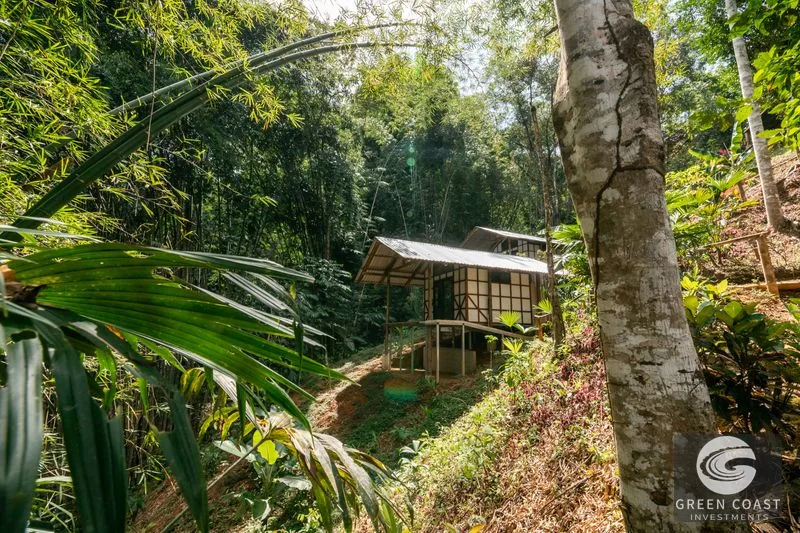 CASCADA ELYSIANA – ECO-RETREAT WITH HUGE WATERFALL — view 18, Tinamastes, Tinamastes, Costa Rica