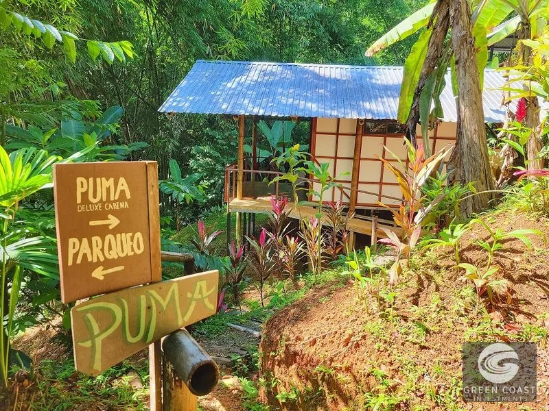 CASCADA ELYSIANA – ECO-RETREAT WITH HUGE WATERFALL — view 21, Tinamastes, Tinamastes, Costa Rica