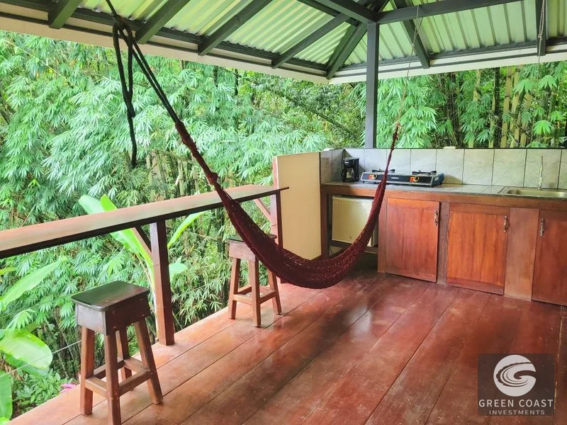 CASCADA ELYSIANA – ECO-RETREAT WITH HUGE WATERFALL — view 26, Tinamastes, Tinamastes, Costa Rica