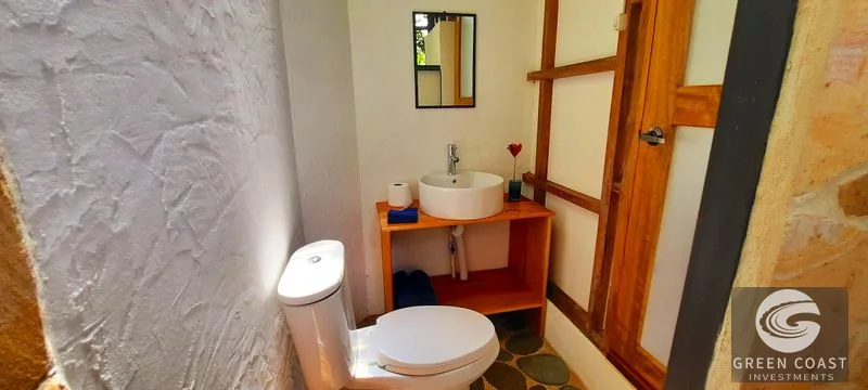 CASCADA ELYSIANA – ECO-RETREAT WITH HUGE WATERFALL — view 28, Tinamastes, Tinamastes, Costa Rica