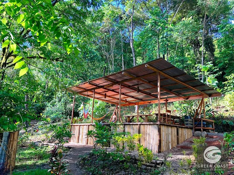 CASCADA ELYSIANA – ECO-RETREAT WITH HUGE WATERFALL — view 33, Tinamastes, Tinamastes, Costa Rica