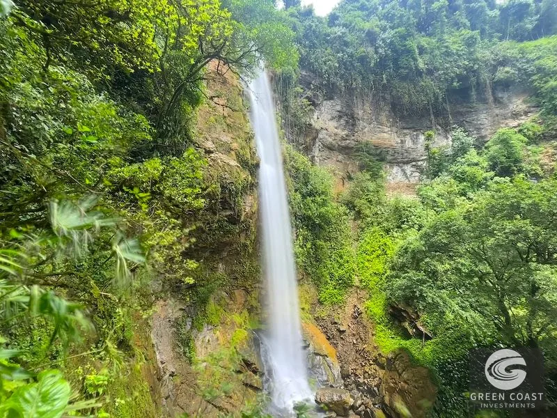 CASCADA ELYSIANA – ECO-RETREAT WITH HUGE WATERFALL — view 36, Tinamastes, Tinamastes, Costa Rica