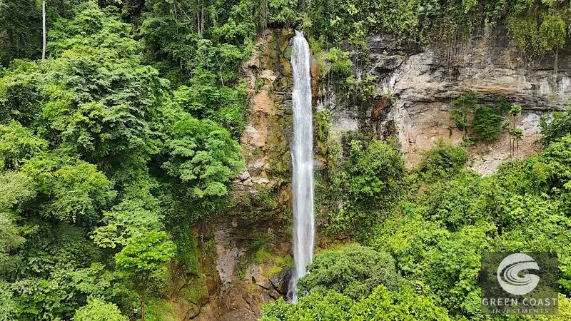 CASCADA ELYSIANA – ECO-RETREAT WITH HUGE WATERFALL — view 37, Tinamastes, Tinamastes, Costa Rica