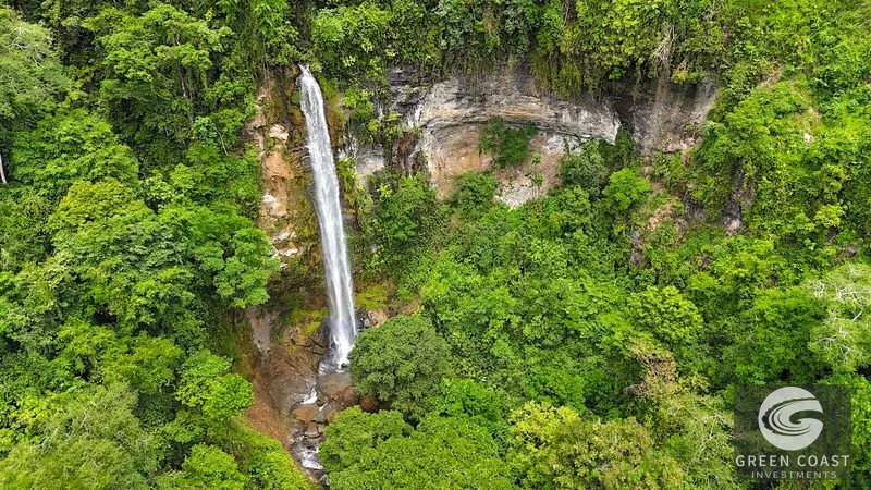 CASCADA ELYSIANA – ECO-RETREAT WITH HUGE WATERFALL — view 38, Tinamastes, Tinamastes, Costa Rica