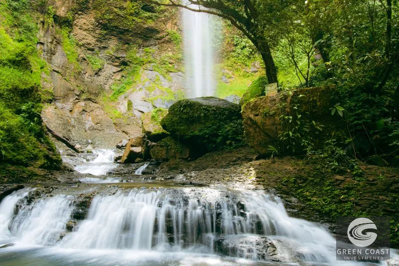 CASCADA ELYSIANA – ECO-RETREAT WITH HUGE WATERFALL — view 39, Tinamastes, Tinamastes, Costa Rica