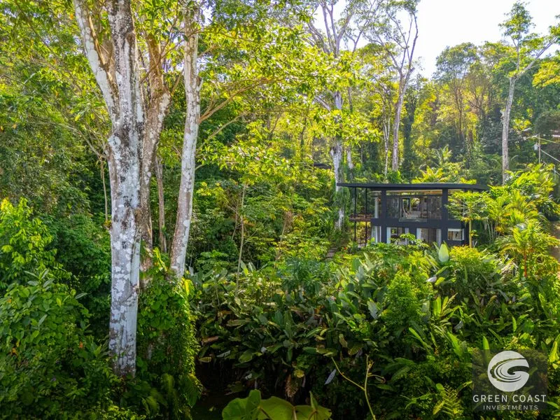 Escaleras Modern Elegance with Ocean Window Views and Jungle Tranquility, Dominical Costa Rica — view 9, Dominical, Costa Rica