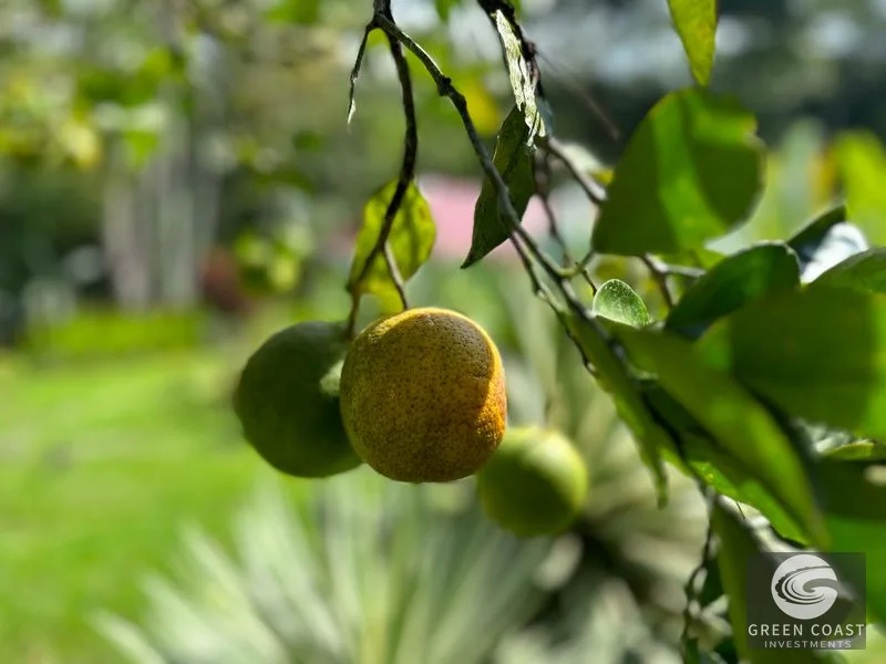 A Tranquil Haven: Prime Investment Opportunity in Uvita's Lush River Enclave — view 34, Dominical, Costa Rica