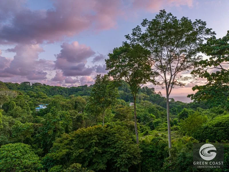 4 Bedroom Jungle Paradise with Ocean Views — view 60, Hatillo, Hatillo, Costa Rica