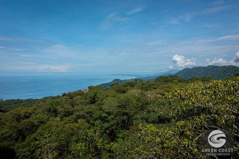 Estate Property in Escaleras, Multi-Use, Residential/HOTEL/Commercial Dominical San Martin, Ocean View Estate, Dominicalito — view 85, Dominical, Costa Rica