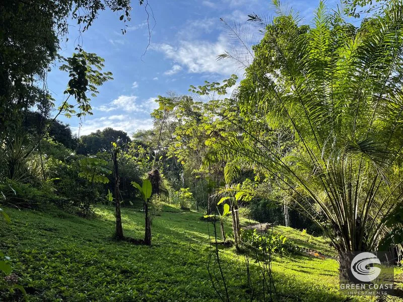 Estate Property in Escaleras, Multi-Use, Residential/HOTEL/Commercial Dominical San Martin, Ocean View Estate, Dominicalito — view 87, Dominical, Costa Rica