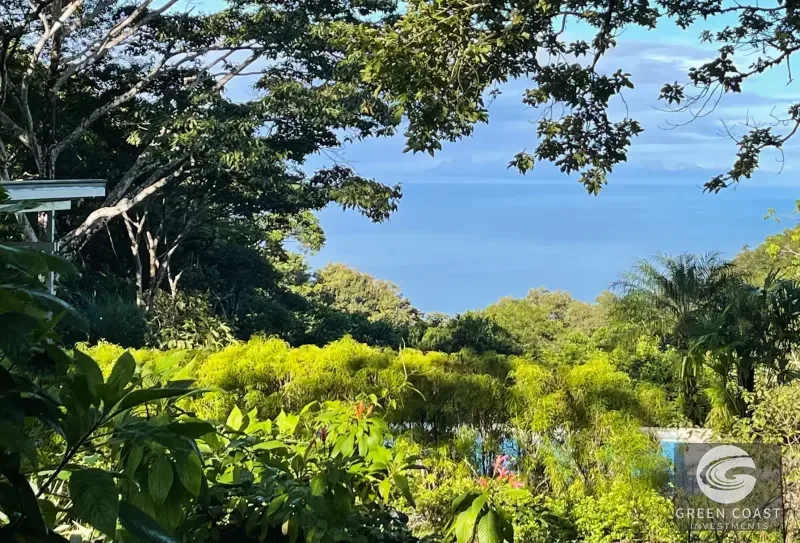 Estate Property in Escaleras, Multi-Use, Residential/HOTEL/Commercial Dominical San Martin, Ocean View Estate, Dominicalito — view 88, Dominical, Costa Rica
